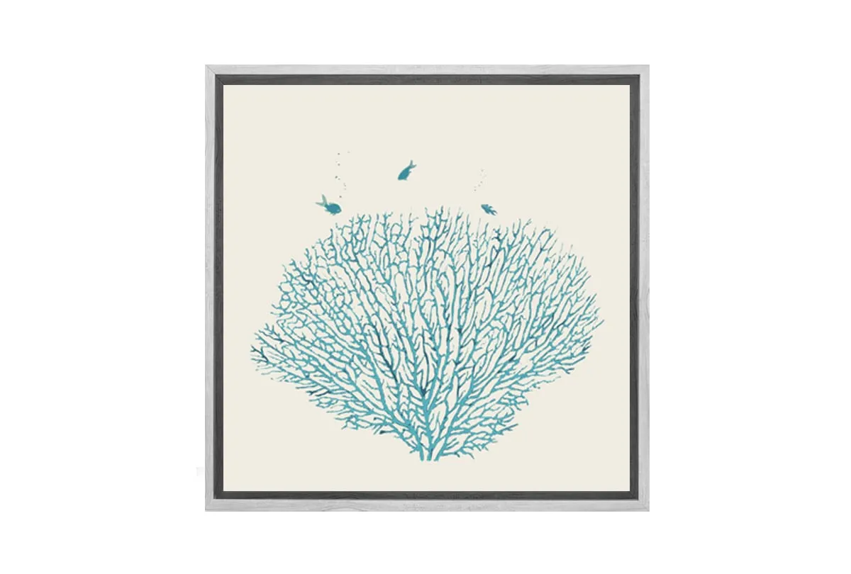 Fan Coral Turquoise | Canvas Wall Art Print