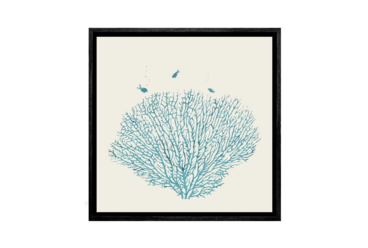 Fan Coral Turquoise | Canvas Wall Art Print