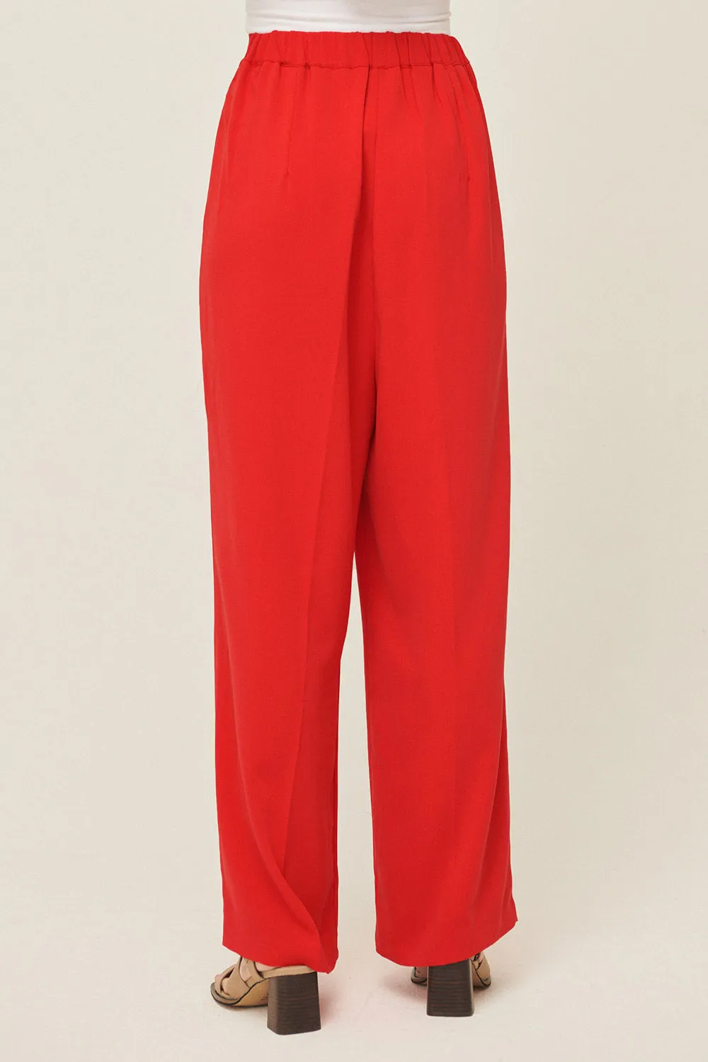 Jania High Wide Leg Pants